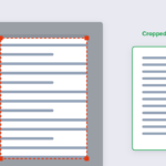 How to Crop a PDF Online (Remove Margins & White Space)